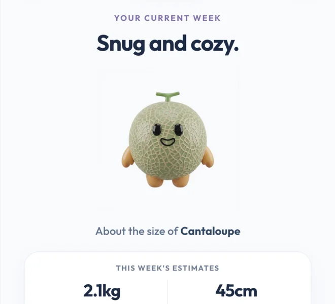 Week 34: baby is about the size of a cantaloupe, 2.1 kg and 45 cm